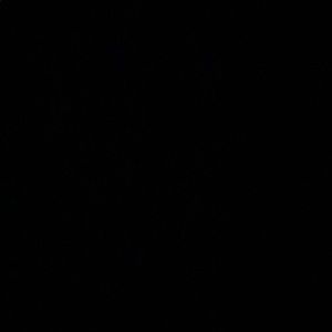 Meet your Posher, Davin